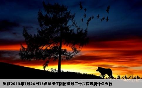 男孩2013年1月26日13点整出生阴历腊月二十六应该属什么五行