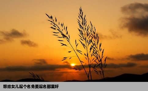 想给女儿起个名免费起名那里好