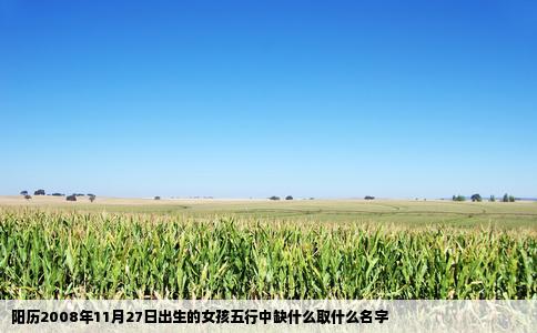阳历2008年11月27日出生的女孩五行中缺什么取什么名字