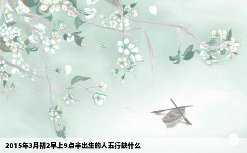 2015年3月初2早上9点半出生的人五行缺什么