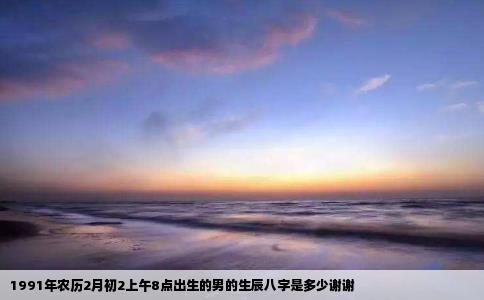 1991年农历2月初2上午8点出生的男的生辰八字是多少谢谢