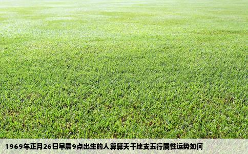 1969年正月26日早晨9点出生的人算算天干地支五行属性运势如何