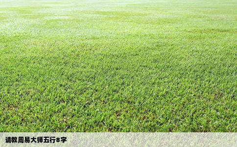 请教周易大师五行8字