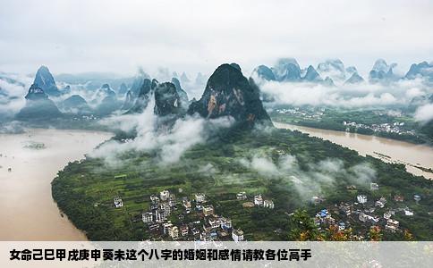 女命己巳甲戌庚申葵未这个八字的婚姻和感情请教各位高手