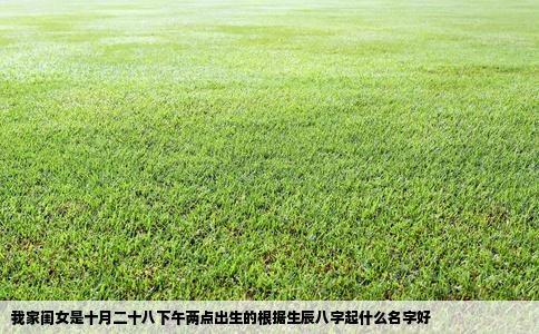 我家闺女是十月二十八下午两点出生的根据生辰八字起什么名字好