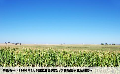 帮我看一下1980年2月5曰出生酉时女八字的婚姻事业运和如何