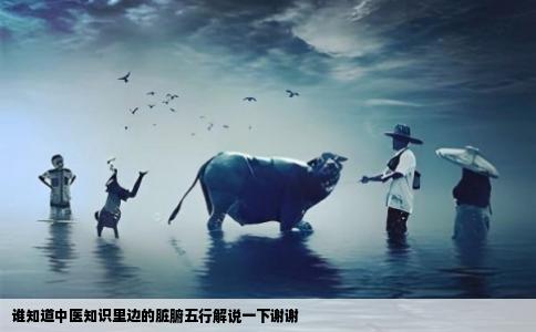 谁知道中医知识里边的脏腑五行解说一下谢谢