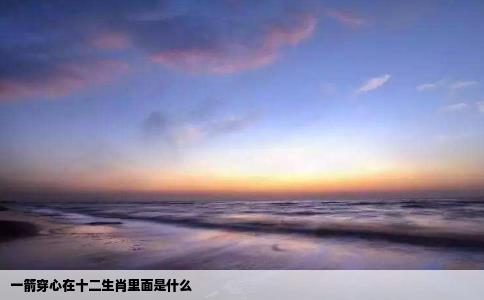 一箭穿心在十二生肖里面是什么