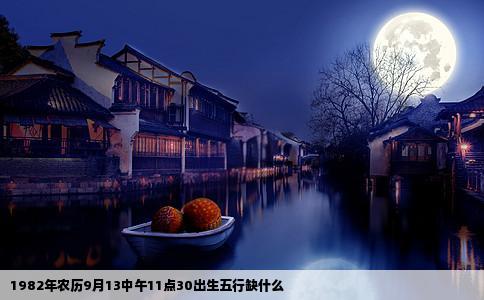 1982年农历9月13中午11点30出生五行缺什么