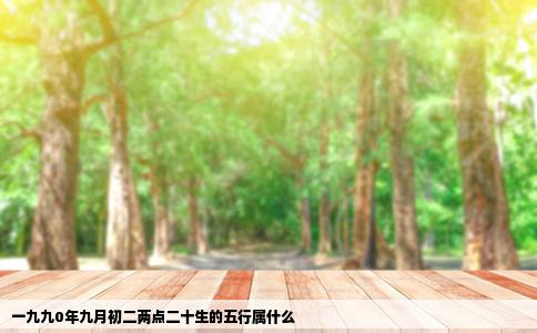 一九九0年九月初二两点二十生的五行属什么
