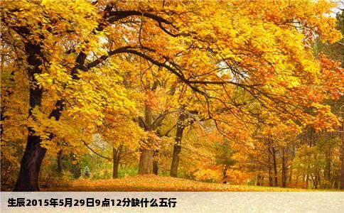 生辰2015年5月29日9点12分缺什么五行
