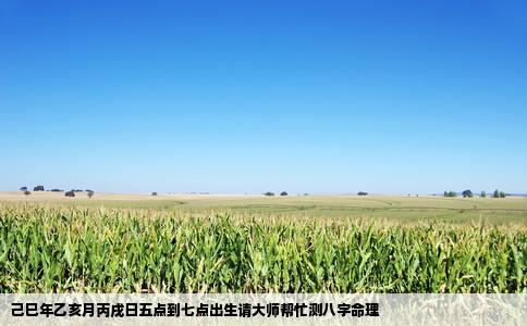 己巳年乙亥月丙戌日五点到七点出生请大师帮忙测八字命理