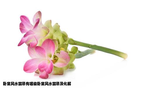 卧室风水禁忌有哪些卧室风水禁忌及化解