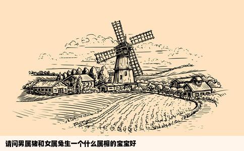 请问男属猪和女属兔生一个什么属相的宝宝好