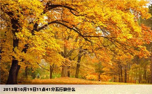 2013年10月19日11点41分五行缺什么