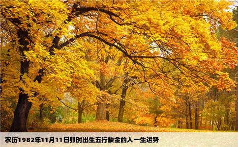 农历1982年11月11日卯时出生五行缺金的人一生运势