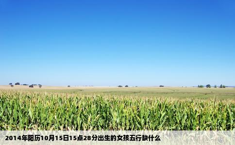2014年阳历10月15日15点28分出生的女孩五行缺什么