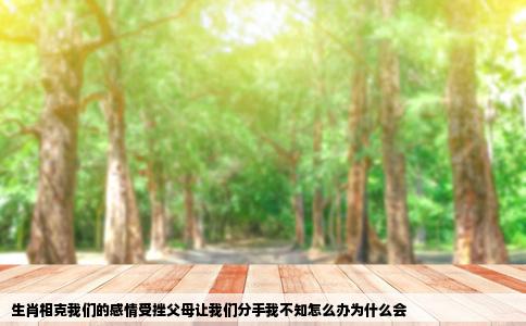 生肖相克我们的感情受挫父母让我们分手我不知怎么办为什么会