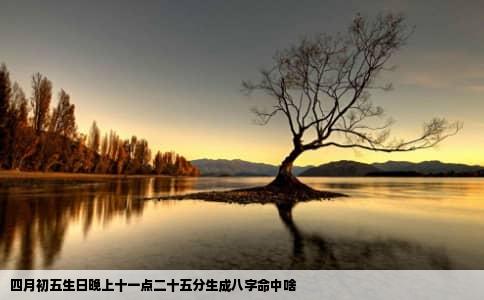 四月初五生日晚上十一点二十五分生成八字命中啥
