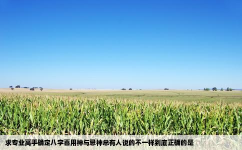 求专业高手确定八字喜用神与忌神总有人说的不一样到底正确的是