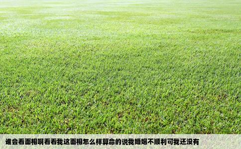 谁会看面相啊看看我这面相怎么样算命的说我婚姻不顺利可我还没有