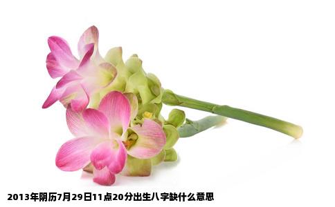 2013年阴历7月29日11点20分出生八字缺什么意思