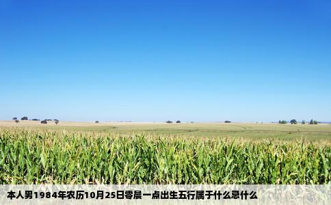 本人男1984年农历10月25日零晨一点出生五行属于什么忌什么