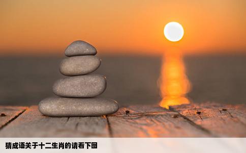 猜成语关于十二生肖的请看下图