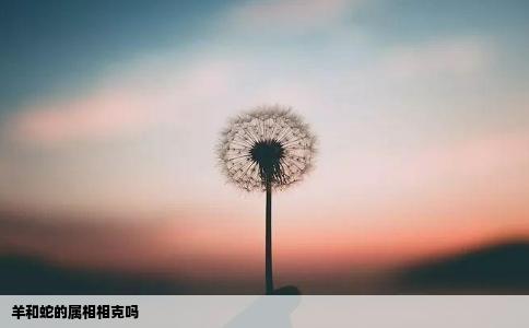 羊和蛇的属相相克吗