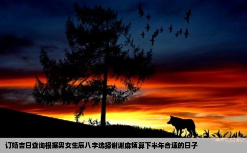 订婚吉日查询根据男女生辰八字选择谢谢麻烦算下半年合适的日子