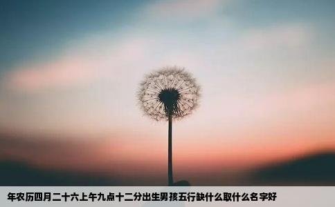 年农历四月二十六上午九点十二分出生男孩五行缺什么取什么名字好
