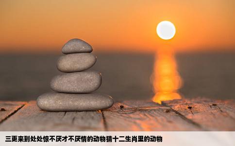 三更来到处处惊不厌才不厌情的动物猜十二生肖里的动物