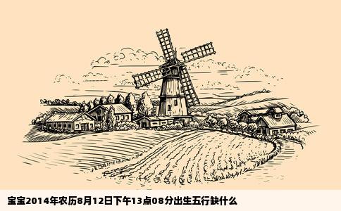宝宝2014年农历8月12日下午13点08分出生五行缺什么