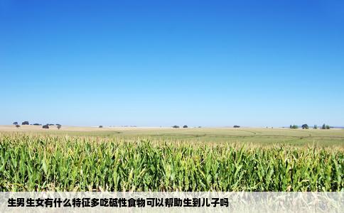 生男生女有什么特征多吃碱性食物可以帮助生到儿子吗