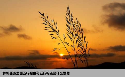 梦幻西游里面五行相生和五行相克是什么意思