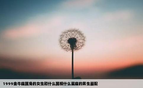 1999金牛座属兔的女生和什么属相什么星座的男生最配