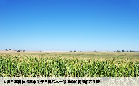 大师八字用神提要中关于三月乙木一段话的如何理解乙生辰