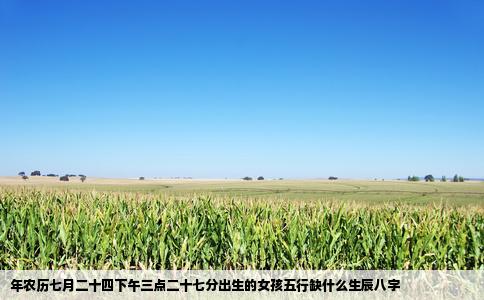 年农历七月二十四下午三点二十七分出生的女孩五行缺什么生辰八字