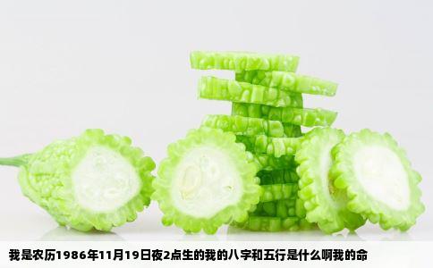 我是农历1986年11月19日夜2点生的我的八字和五行是什么啊我的命