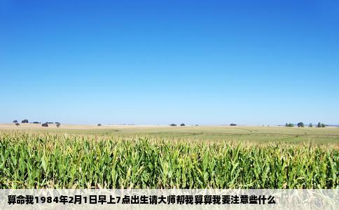 算命我1984年2月1日早上7点出生请大师帮我算算我要注意些什么