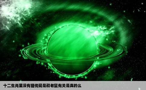 十二生肖里没有猫传闻是和老鼠有关是真的么