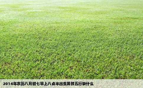 2014年农历八月初七早上八点半出生男孩五行缺什么