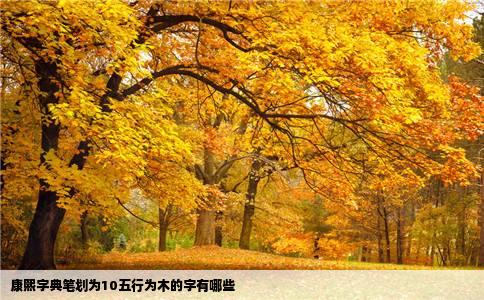 康熙字典笔划为10五行为木的字有哪些