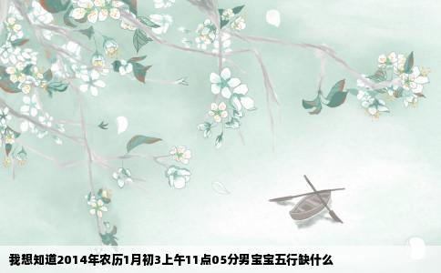 我想知道2014年农历1月初3上午11点05分男宝宝五行缺什么