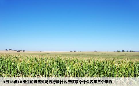 3日18点18出生的男孩姓马五行缺什么应该取个什么名字三个字的