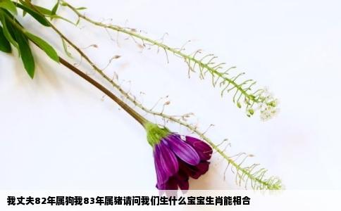 我丈夫82年属狗我83年属猪请问我们生什么宝宝生肖能相合