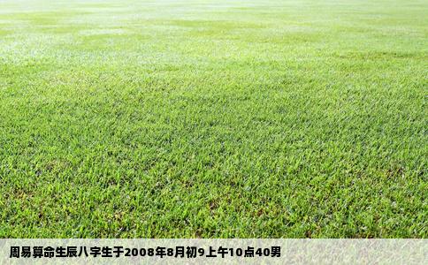 周易算命生辰八字生于2008年8月初9上午10点40男