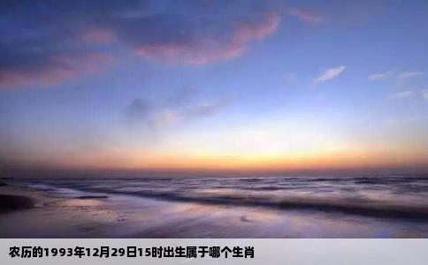 农历的1993年12月29日15时出生属于哪个生肖