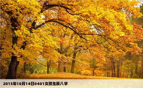 2015年10月14日0401女孩生辰八字