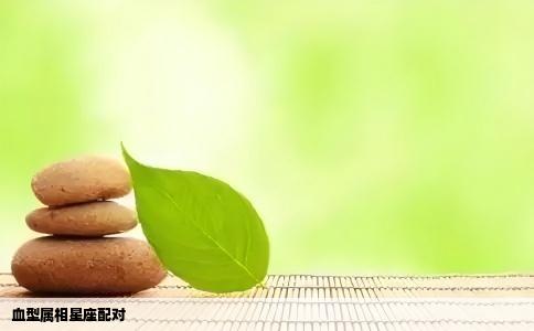 血型属相星座配对